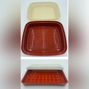 VTG Tupperware Large & Small Season N Serve Marinade Containers 1294/92 Paprika